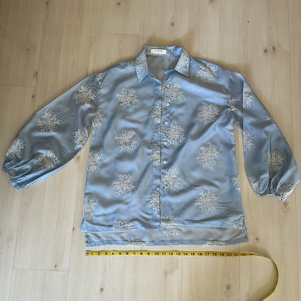 Sheer Blue Button Down w/ Balloon Sleeves